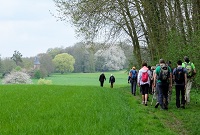 Payote Meneer Pepingen