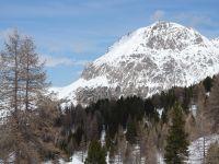Nevache