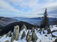 Vosges 2