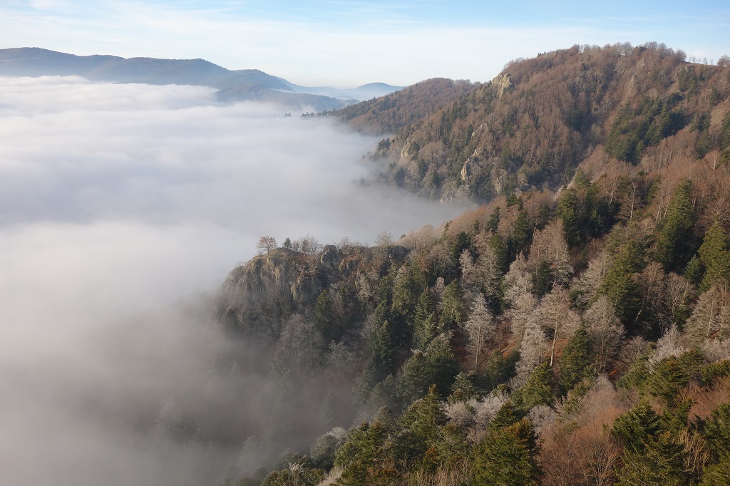 Vosges en decembre2019